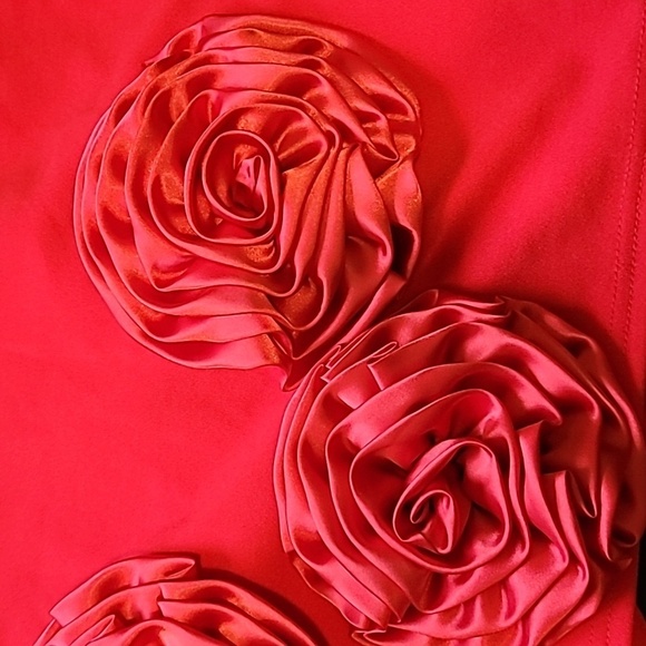 Red flower dress 😍 ♥️ ✨️ - Picture 8 of 11